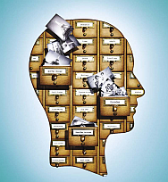 أربع طرق لحفظ أكبر عدد من المصطلحات الأمازيغية!