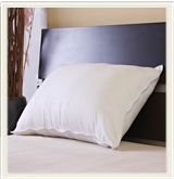 ⵜⴰⴷⴷⵉⵅⴼⵜ