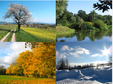 Découvrez les Saisons en Français avec des Images Interactives