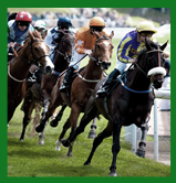 ⵛⴰⵍⴰ ⵏ ⵉⵢⵉⵙⴰⵏ