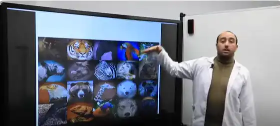 Anglais TC keep our earth safe