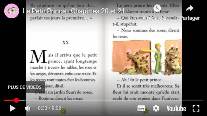 Le Petit Prince - Chapitres 20 et 21 - On ne voit bien qu'avec le coeur