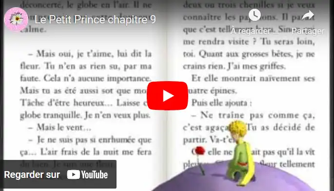 Le Petit Prince chapitre 9