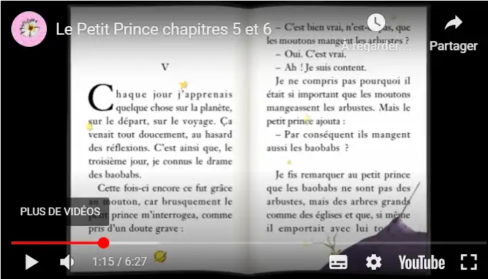 Le Petit Prince chapitres 5 et 6