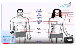 أعضاء جسم الإنسان بالأمازيغية