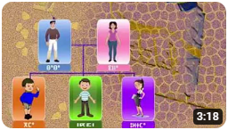 تعلم الأمازيغية - العائلة