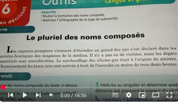 le pluriel des noms composés