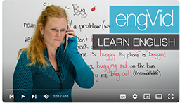 SLANG words using 'bug' in English